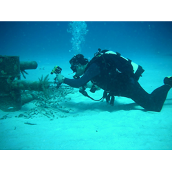 Underwater Photographer Level 2 Specialty Course